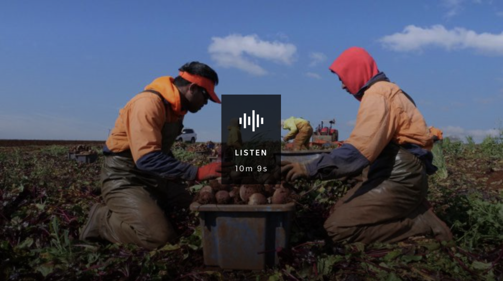 Pacific Island seasonal workers propose class action over claims of