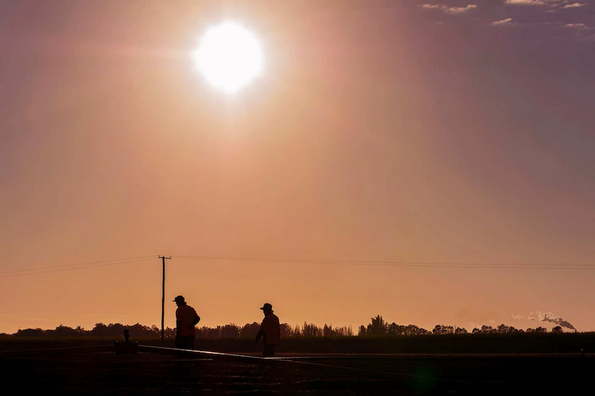 The workers breached their visa conditions when they took up work with an unapproved employer. (ABC Wide Bay: Brad Marsellos)