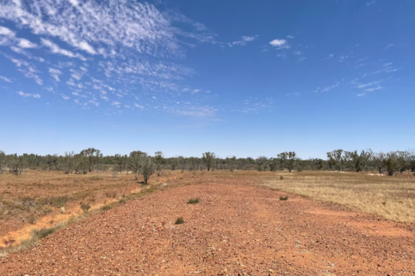 An inquest into Jayo's disappearance is set to start in November 2023. (ABC Western Queensland: Daniel Prosser)