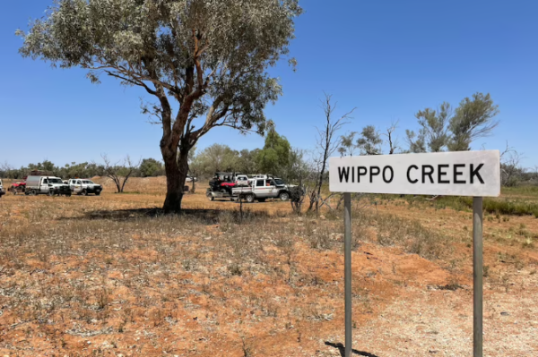 Searchers encountered harsh terrain looking for Jayo. (ABC Western Queensland: Danielle O'Neal)