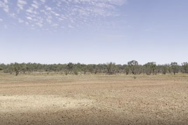 The land where Mr Rivers went missing is open and lightly treed, except for along creeks and rivers. (ABC News)