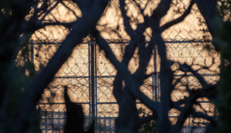 inquest-examined-failures-casuarina-prison